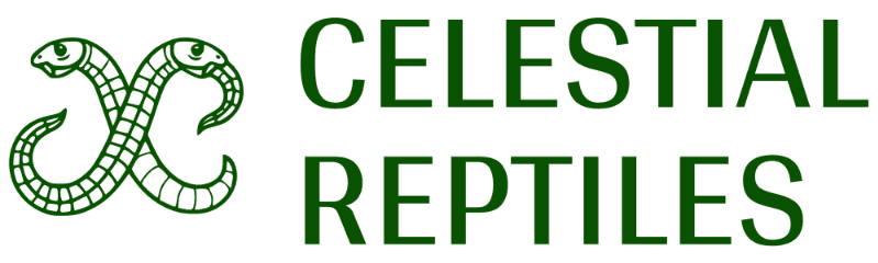 Celestial Reptiles